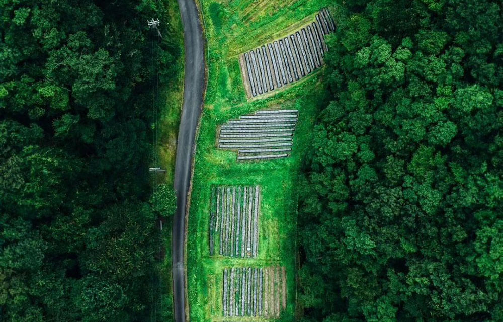 生産者の皆さまへ01
