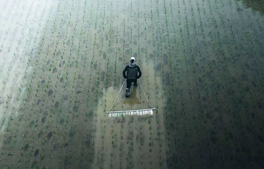 生産者の皆さまへ02